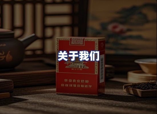 专业团队